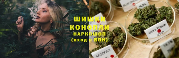 амф Белокуриха