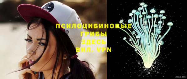 амф Белокуриха