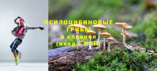амф Белокуриха