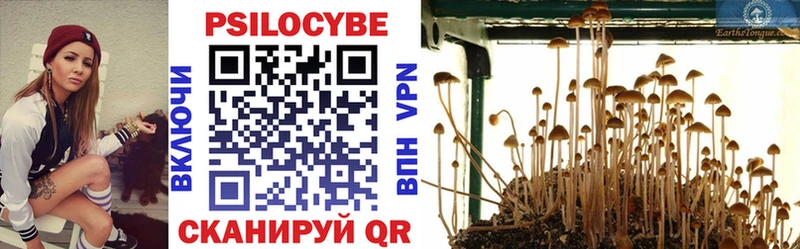 Галлюциногенные грибы Magic Shrooms  Великий Устюг 